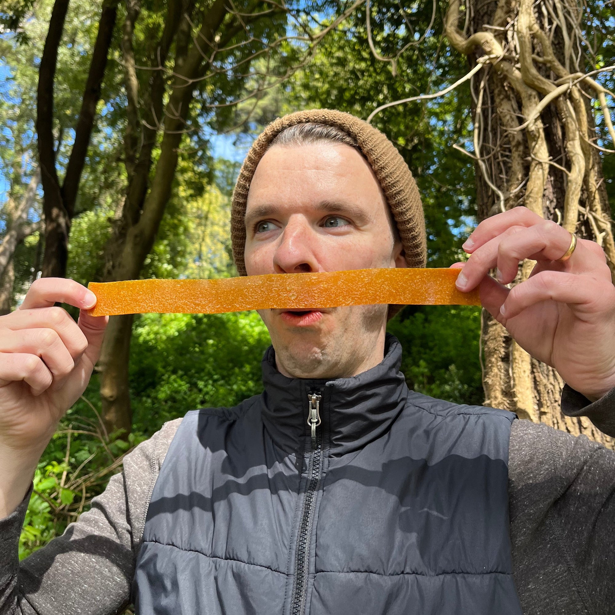 Mango Lassi Fruit Leather